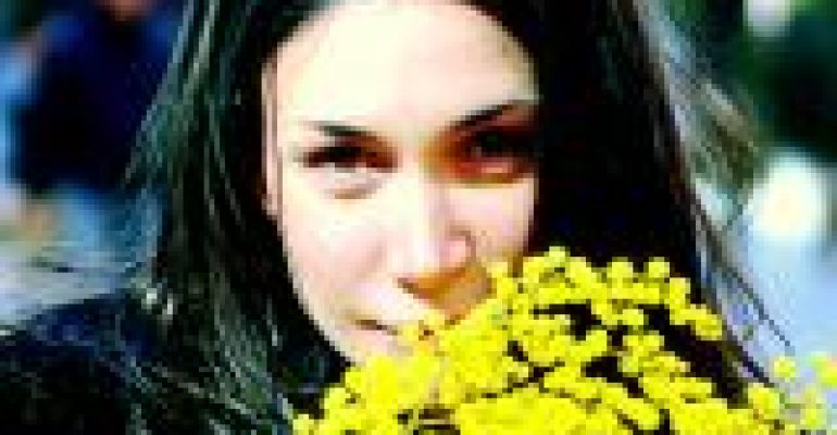 BASTA UN MAZZO DI MIMOSE……